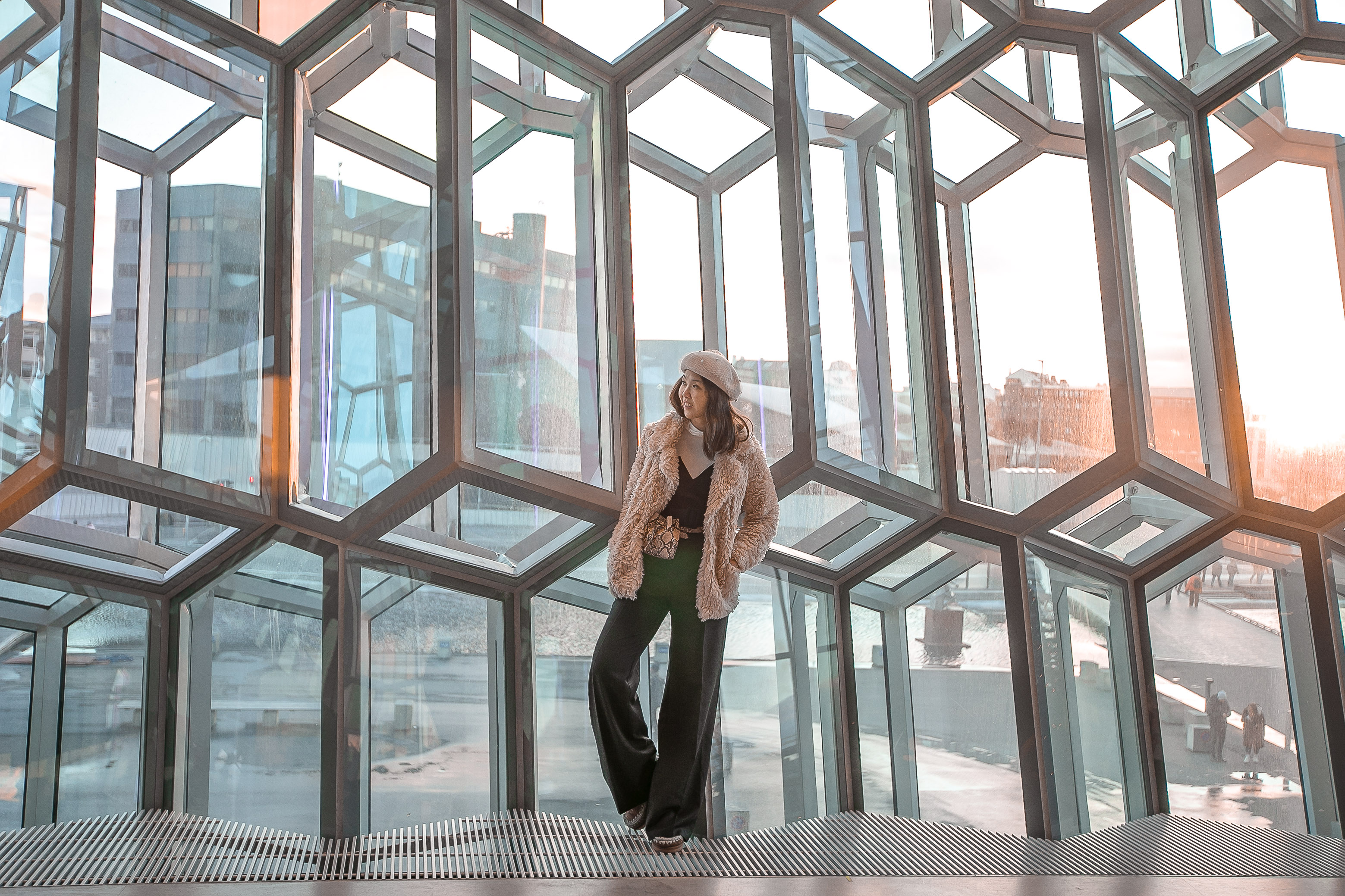 harpa concert hall