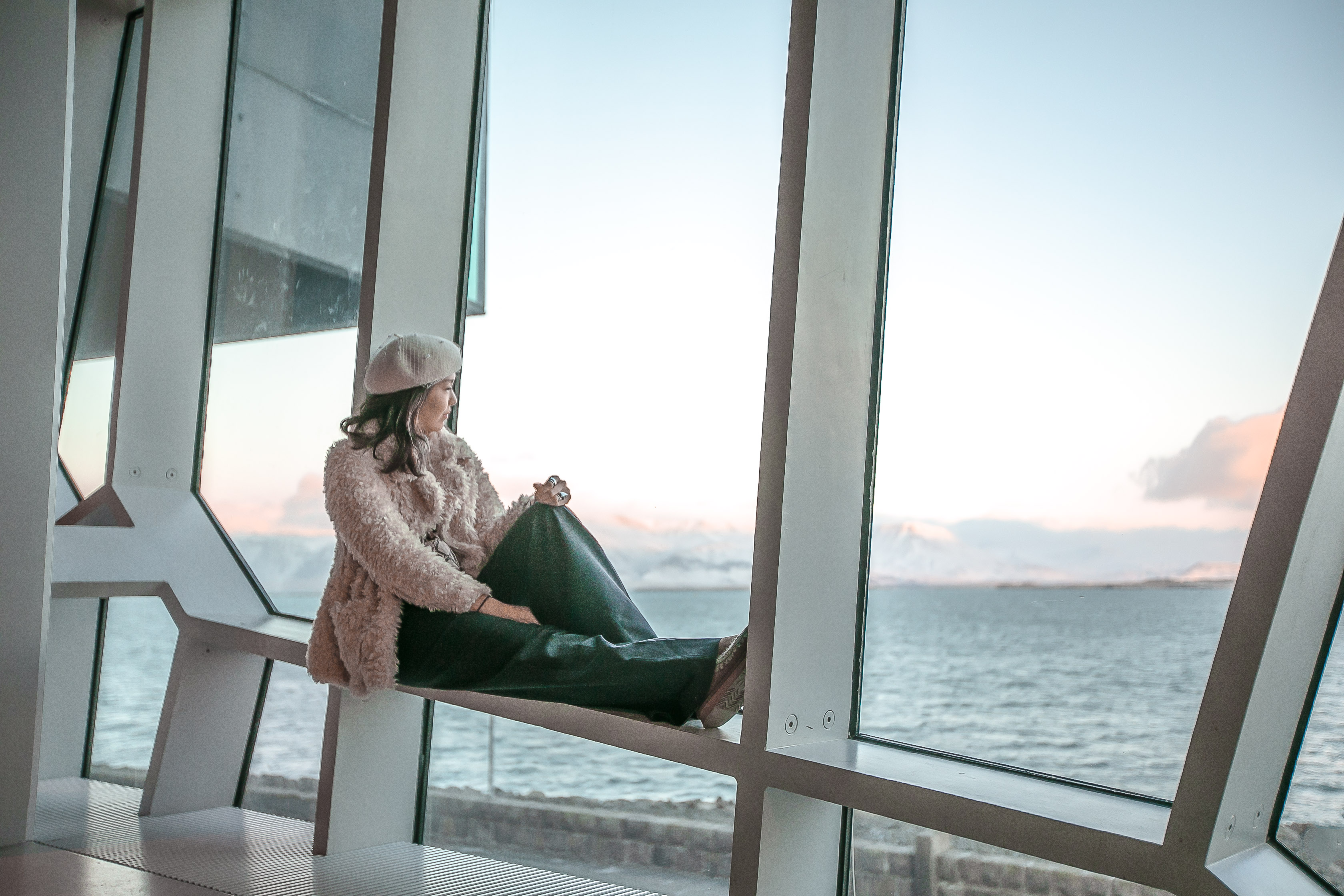 harpa concert hall